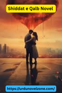 Shiddat e Qalb Novel by Mirha Rajput Pdf Download