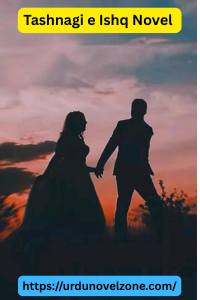 Tashnagi e Ishq Novel by Wahiba Fatima