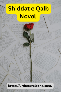 Shiddat e Qalb Novel by Mirha Rajpoot Pdf Download