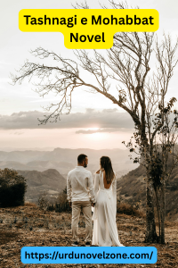 Tashnagi e Mohabbat Novel by Mahnoor Khan Pdf Download