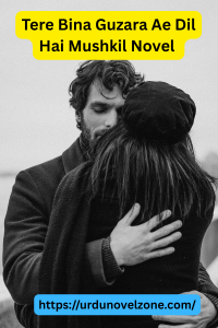 Tere Bina Guzara Ae Dil Hai Mushkil Novel by LA Writes Pdf Download