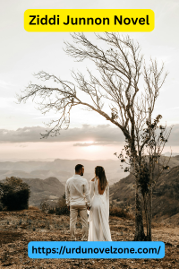 Ziddi Junnon Novel by Naina Khan Pdf Download